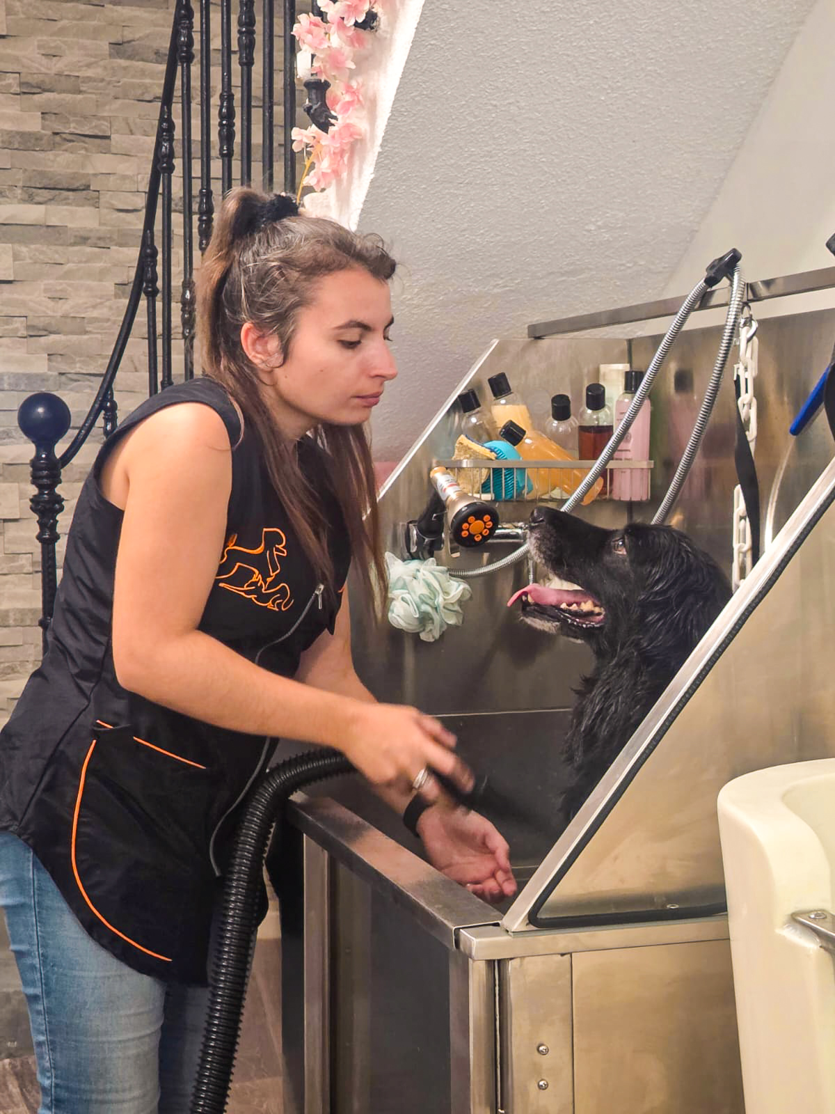 Le salon Récréanimaux